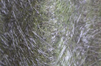 Clonfeacle fibreglass roof work